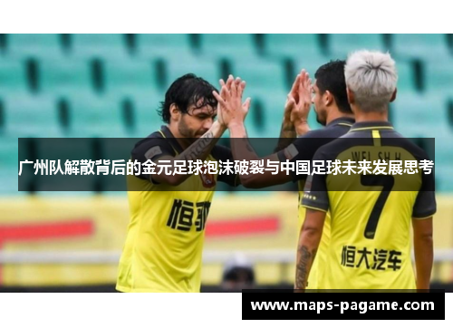 广州队解散背后的金元足球泡沫破裂与中国足球未来发展思考