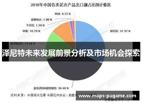 泽尼特未来发展前景分析及市场机会探索
